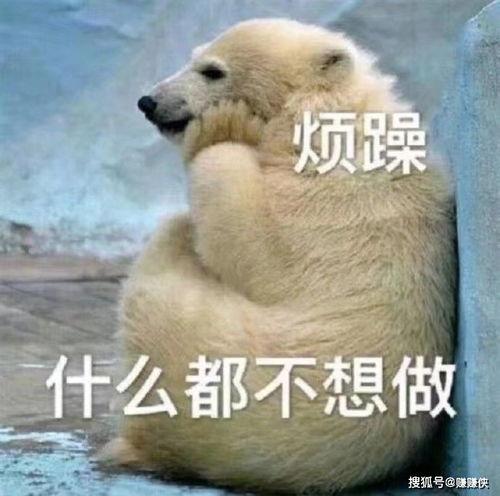 吃瓜群众牌子图片,揭秘“吃瓜群众”牌子的背后故事